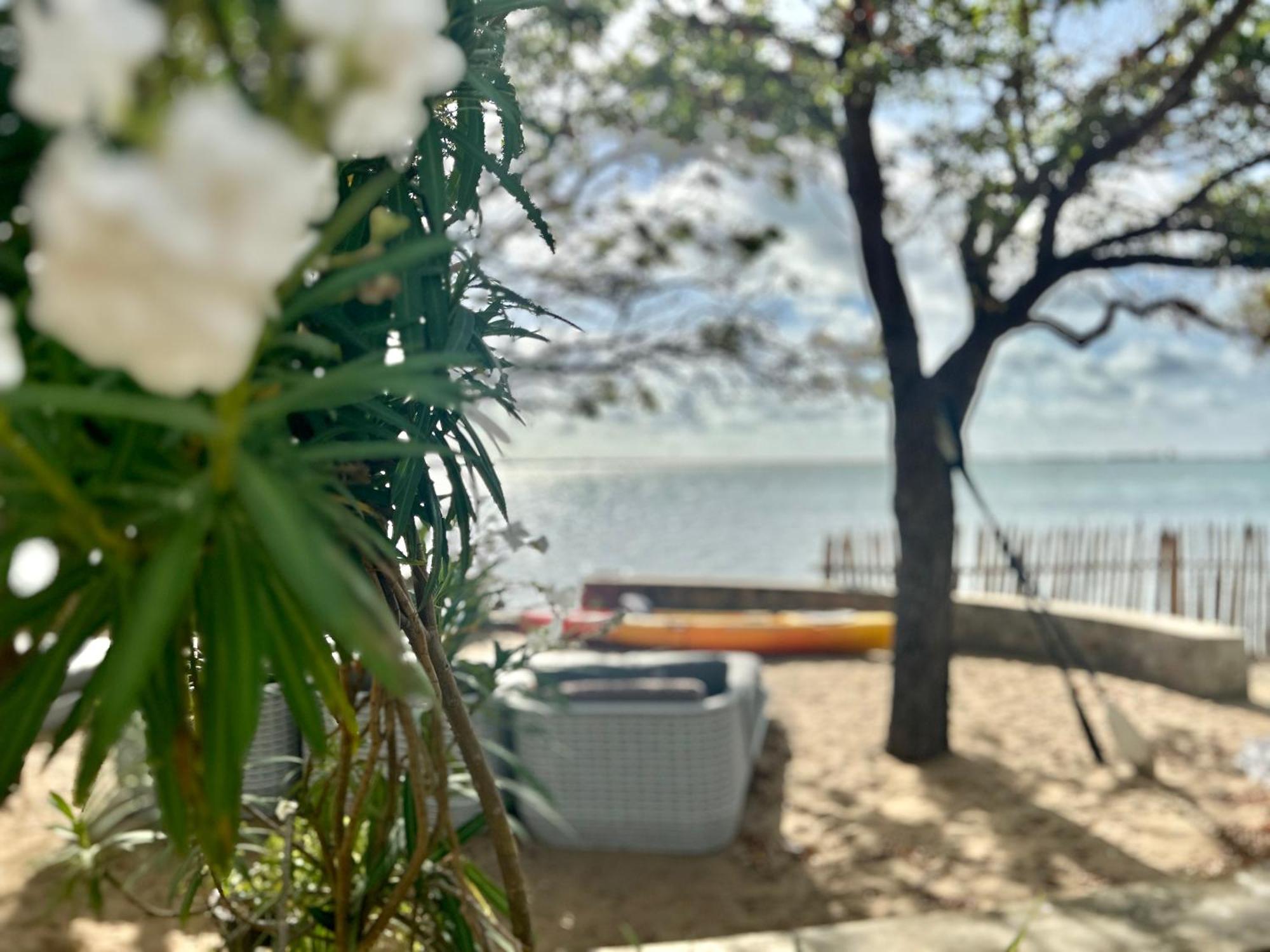Arasi Resort Kalpitiya Zewnętrze zdjęcie