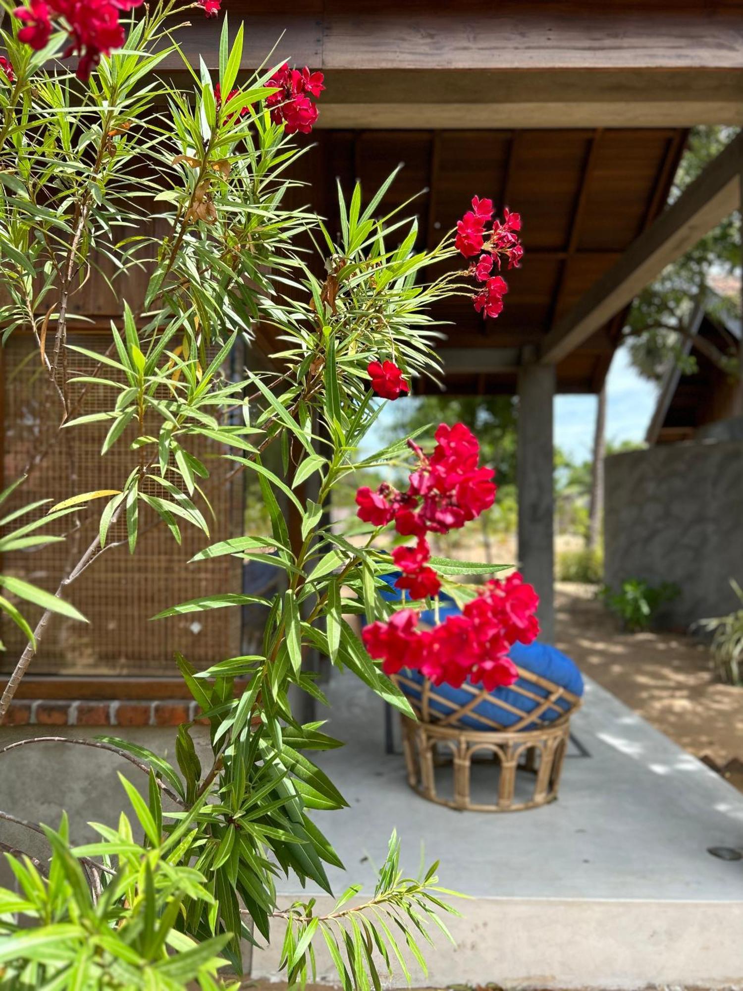Arasi Resort Kalpitiya Zewnętrze zdjęcie